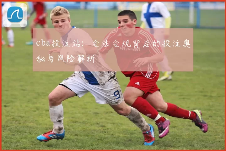 cba投注站：合法合规背后的投注奥秘与风险解析