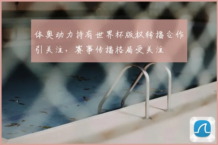 体奥动力持有世界杯版权转播合作引关注，赛事传播格局受关注