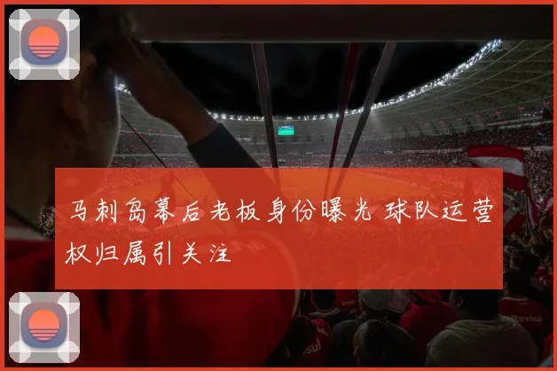 马刺岛幕后老板身份曝光 球队运营权归属引关注
