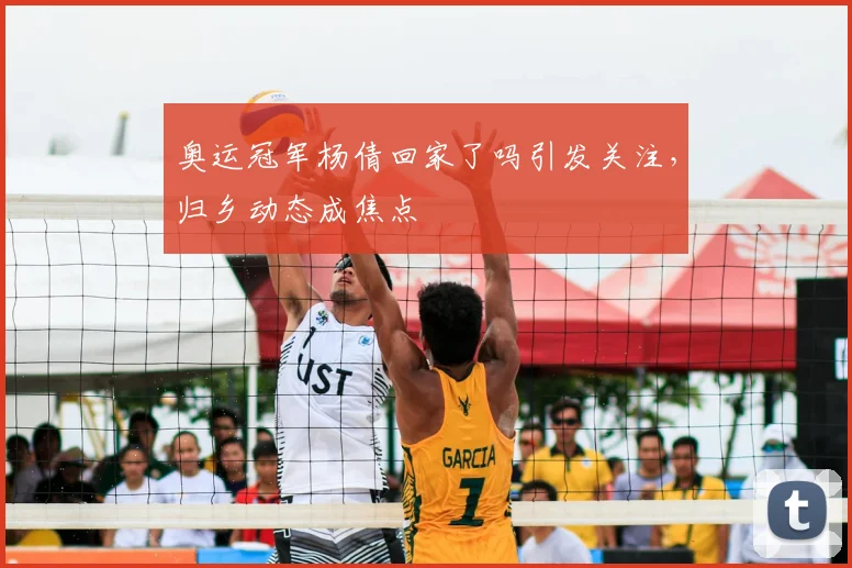 奥运冠军杨倩回家了吗引发关注,归乡动态成焦点