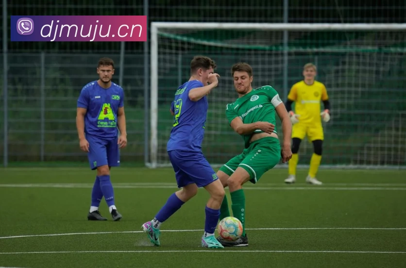 数据防护可视化